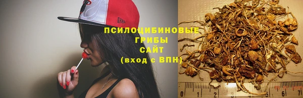 COCAINE Богородицк