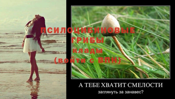 кокаин перу Богданович