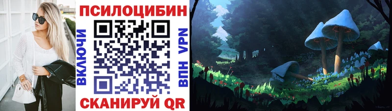 Псилоцибиновые грибы GOLDEN TEACHER Губкинский